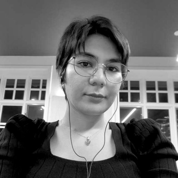 Mina masoumi ap lab
